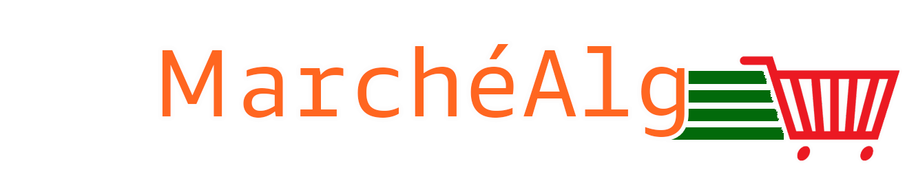 logo11